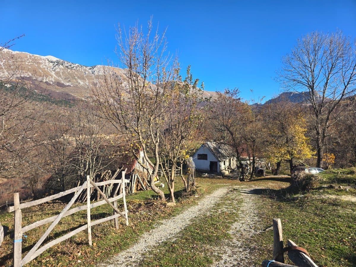 Fotografija sa pčelinjaka, Izgori 10