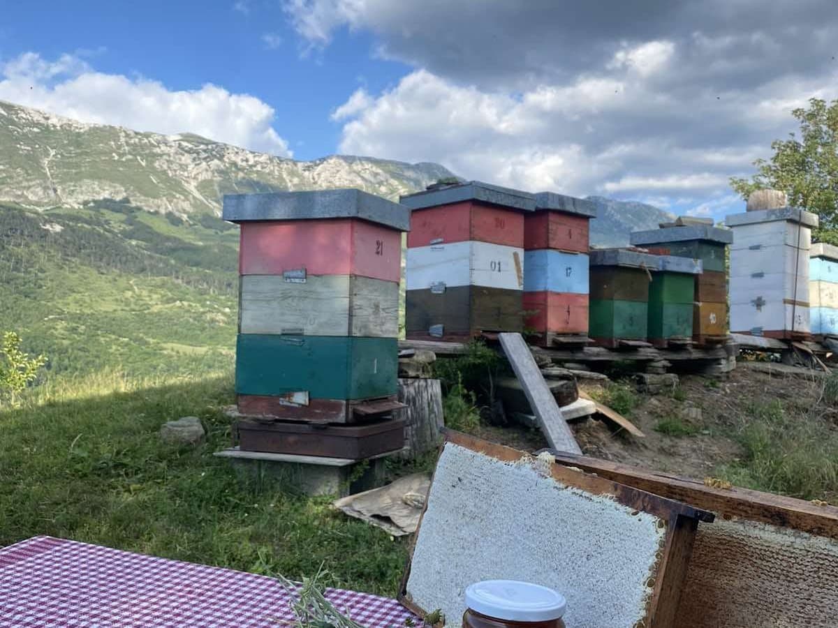 Fotografija sa pčelinjaka, Izgori 101