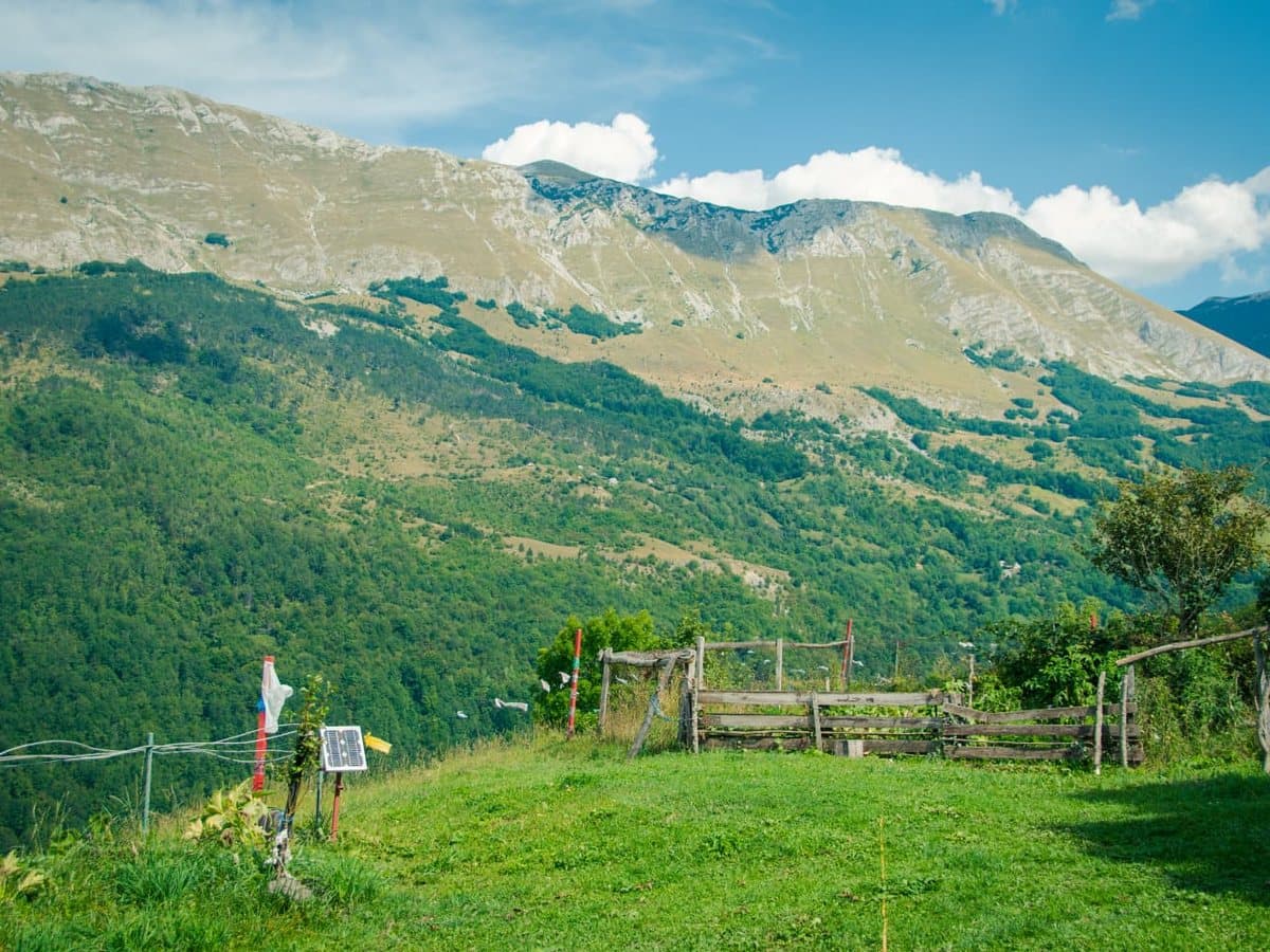 Photo from the apiary, Izgori 105