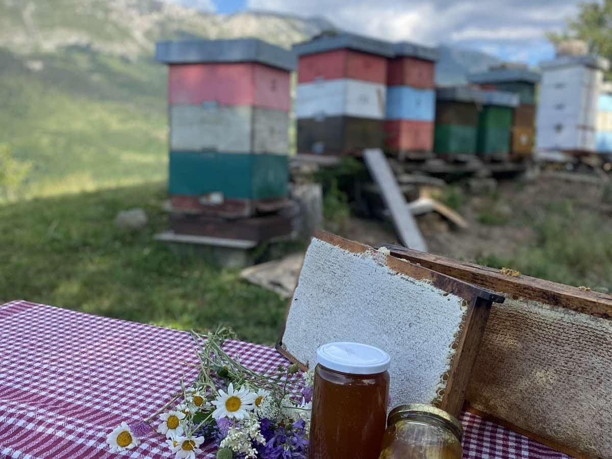 Photo from the apiary, Izgori 115