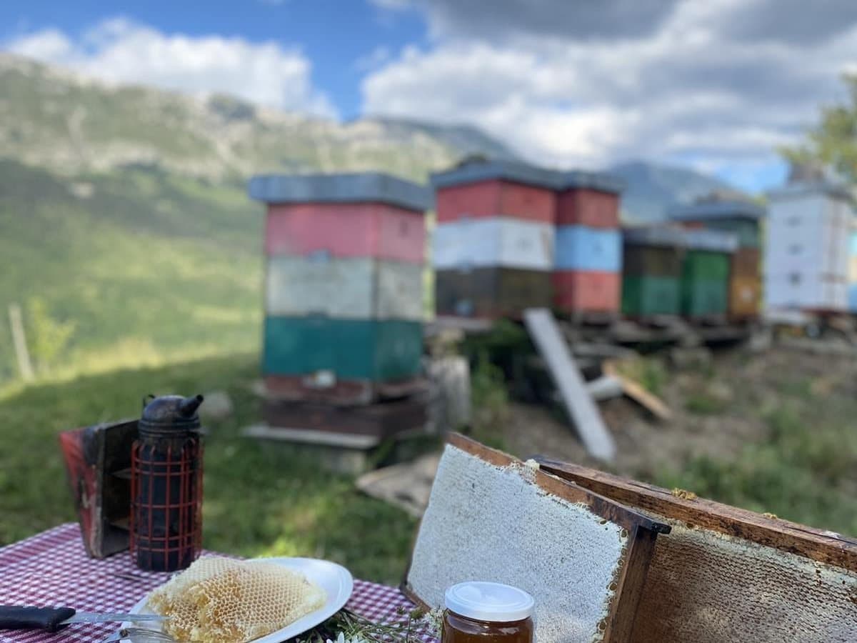 Photo from the apiary, Izgori 121