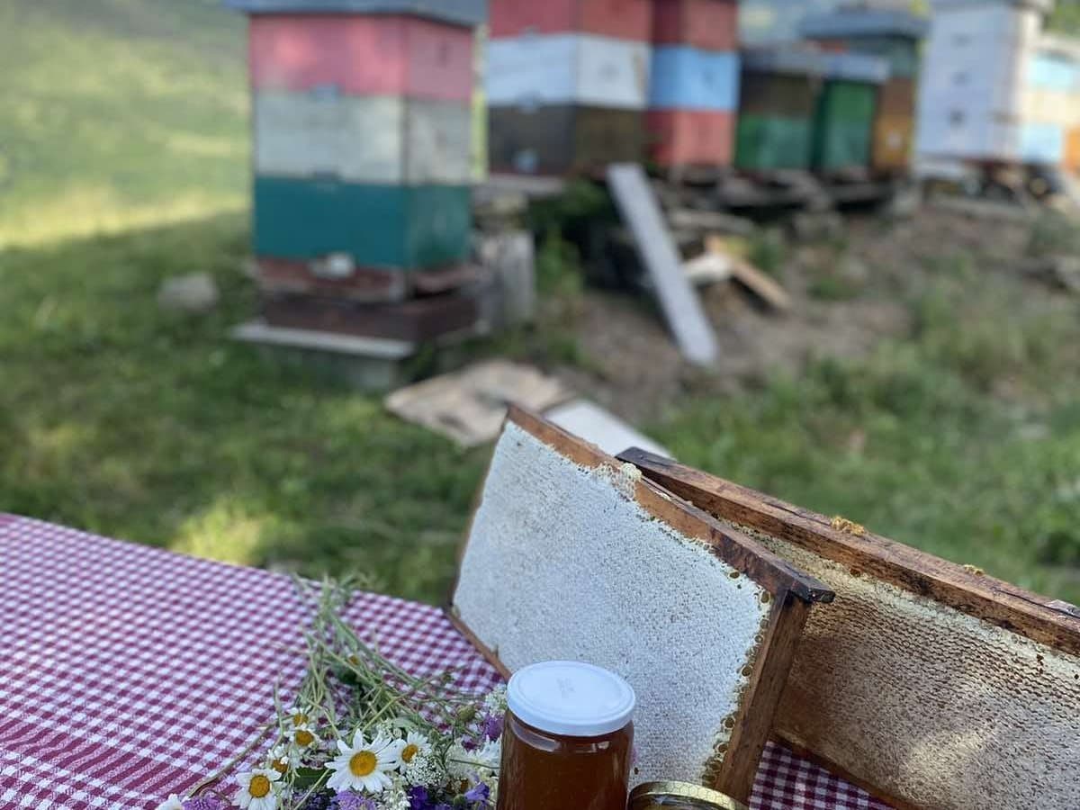 Photo from the apiary, Izgori 122