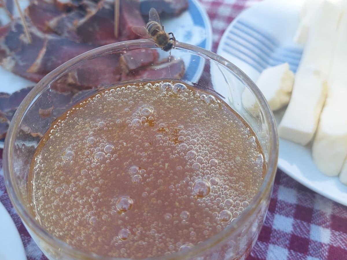 Photo from the apiary, Izgori 123