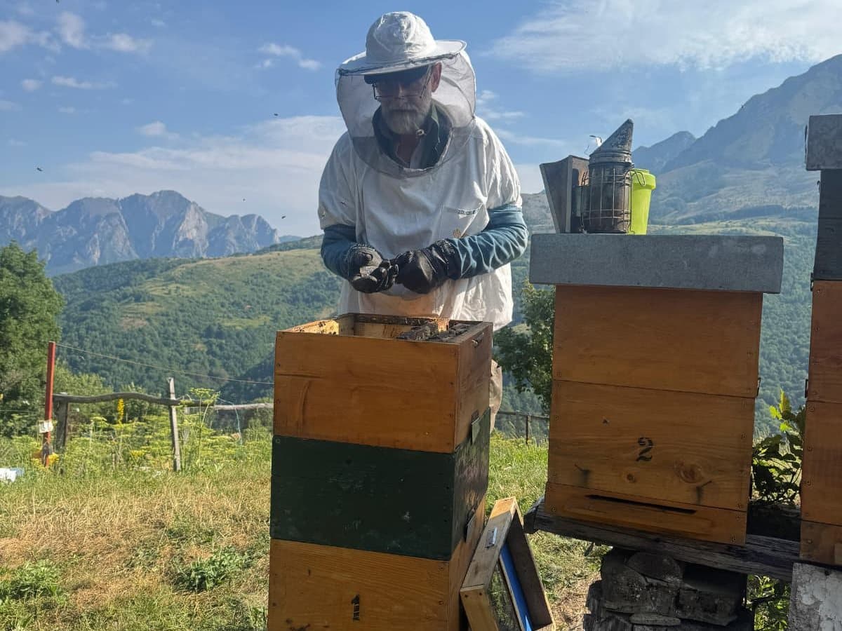 Fotografija sa pčelinjaka, Izgori 26