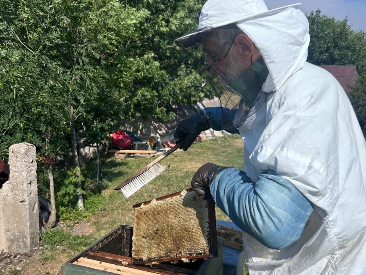 Photo from the apiary, Izgori 32