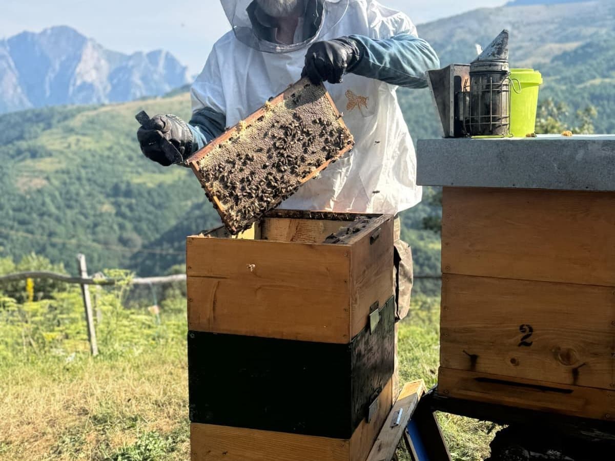 Fotografija sa pčelinjaka, Izgori 32