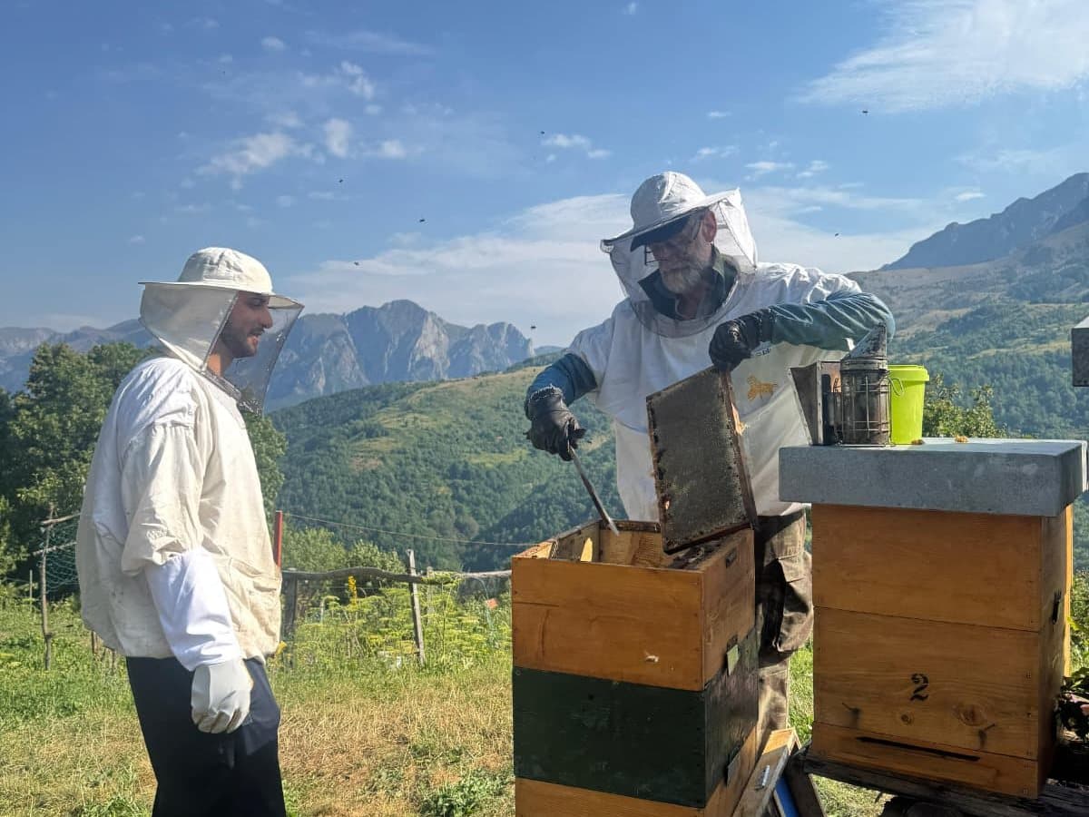 Photo from the apiary, Izgori 39