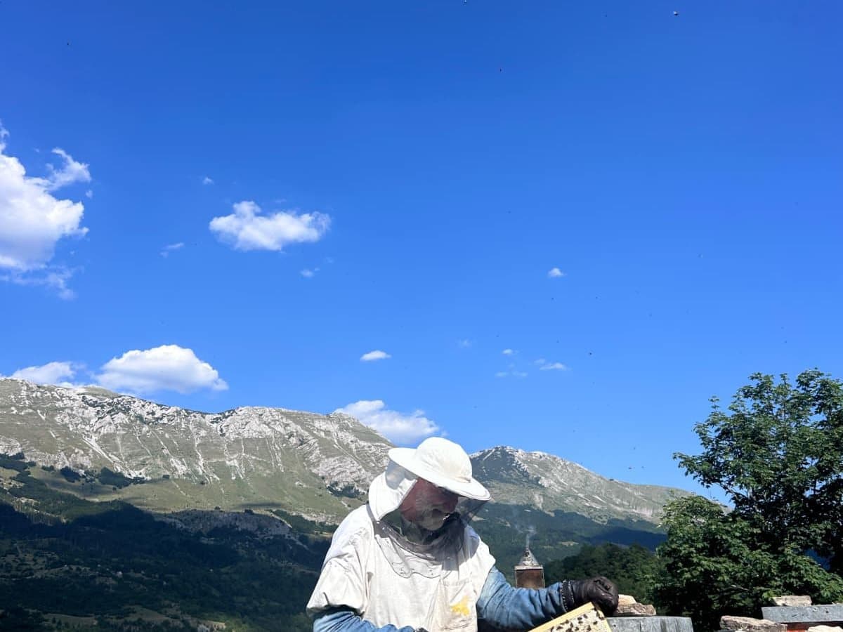 Fotografija sa pčelinjaka, Izgori 49