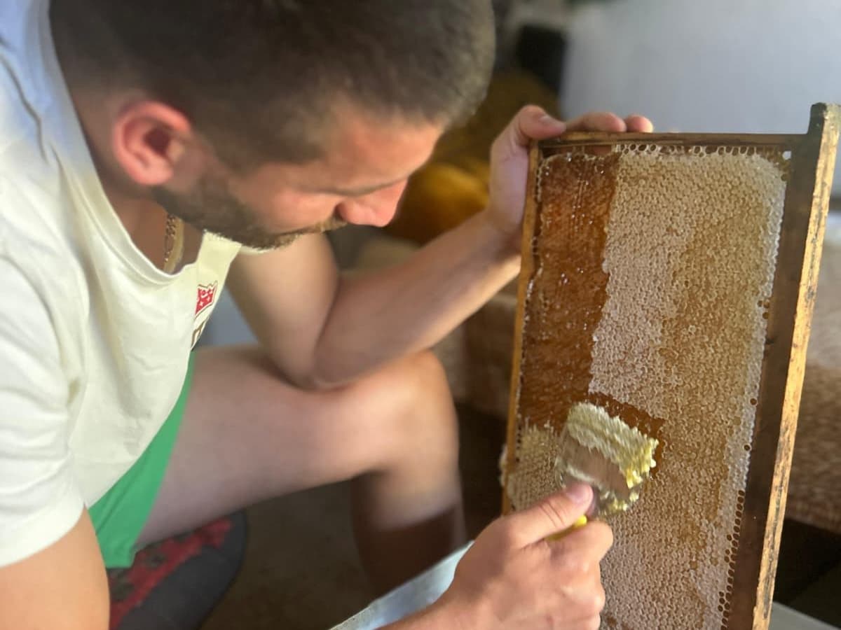 Photo from the apiary, Izgori 53