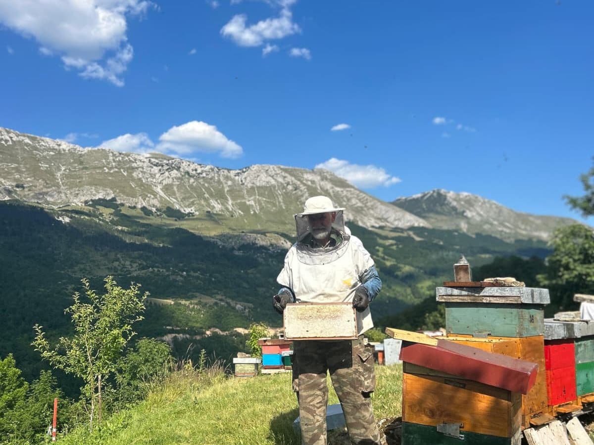 Photo from the apiary, Izgori 58
