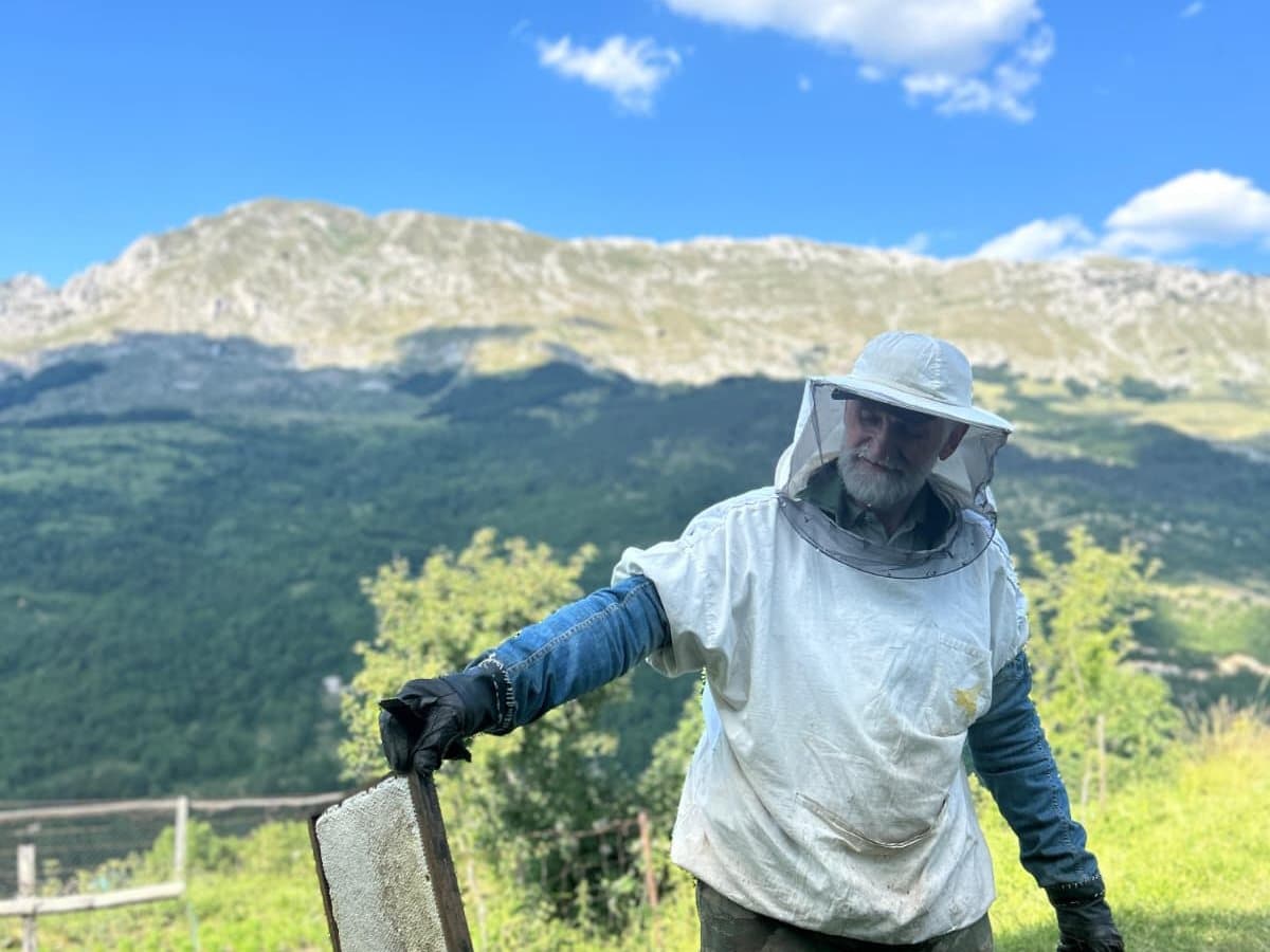 Photo from the apiary, Izgori 62
