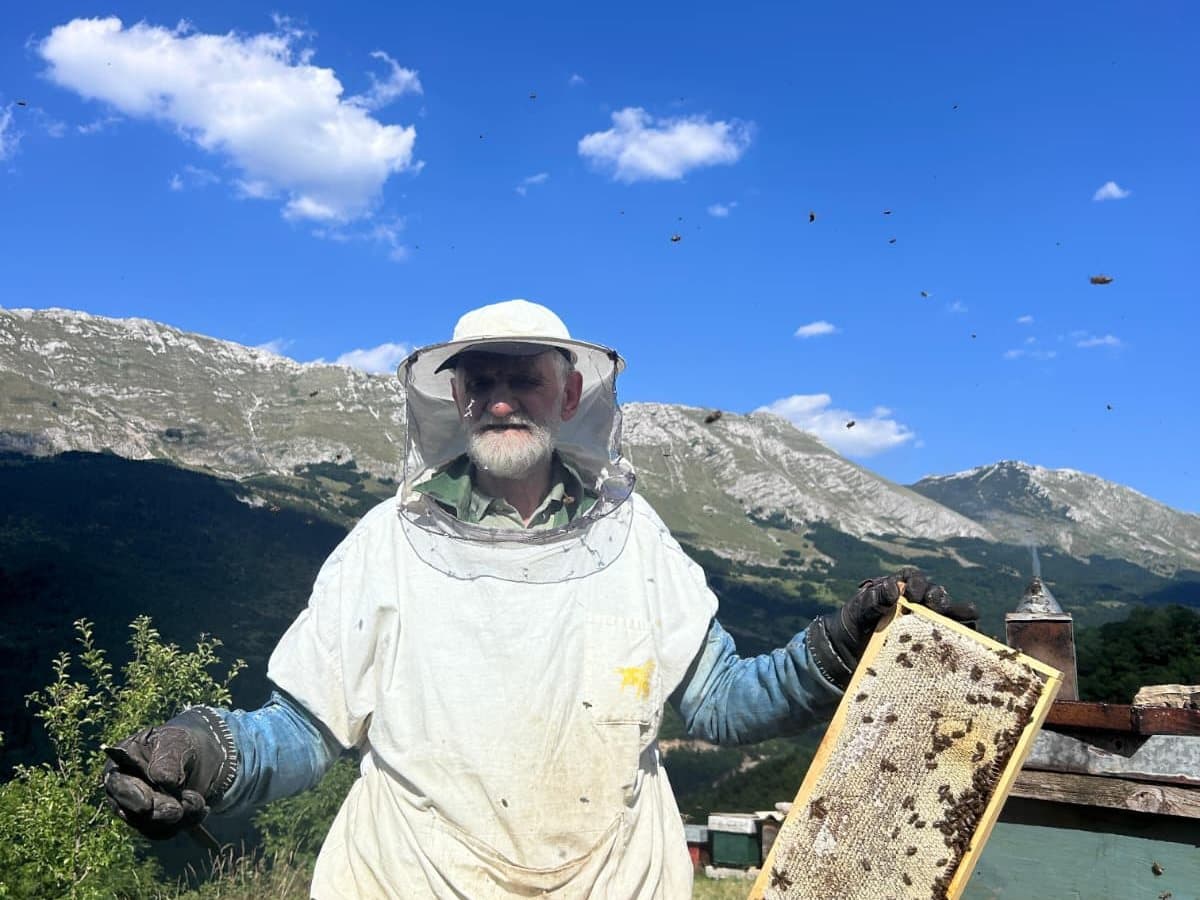 Photo from the apiary, Izgori 66