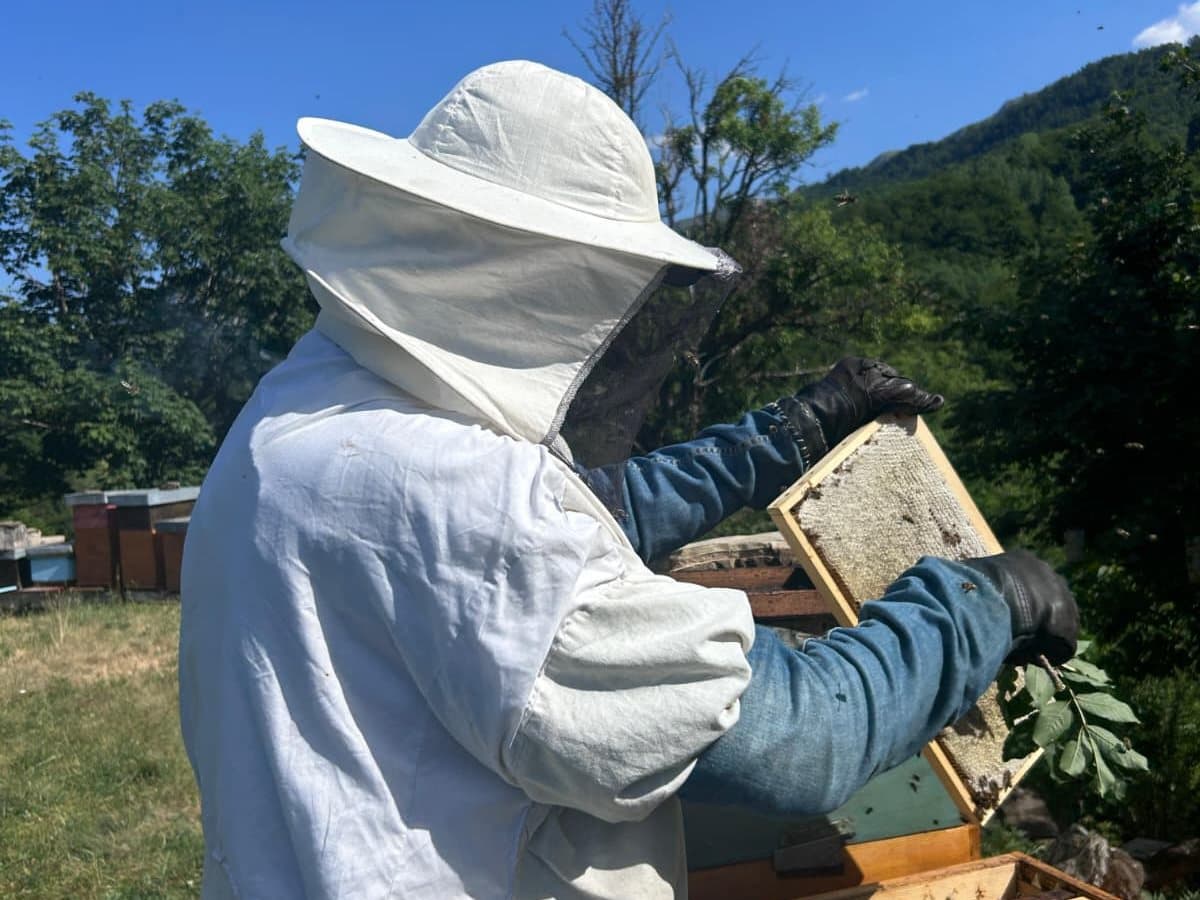 Photo from the apiary, Izgori 72