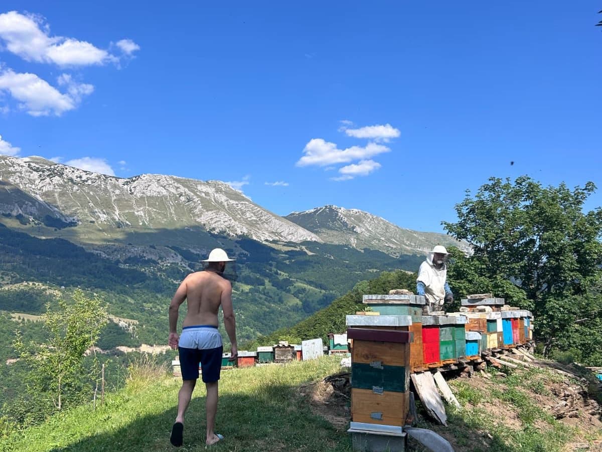Photo from the apiary, Izgori 74