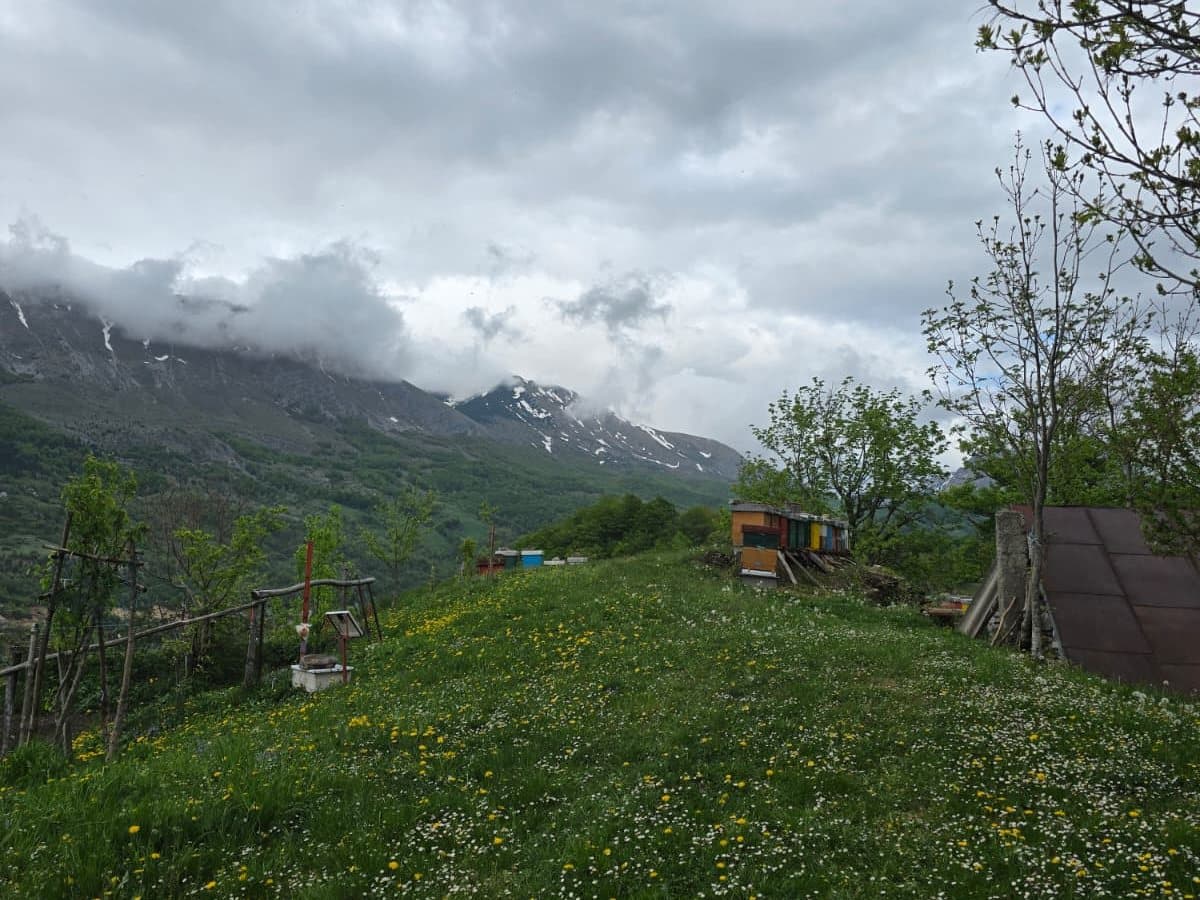 Fotografija sa pčelinjaka, Izgori 8