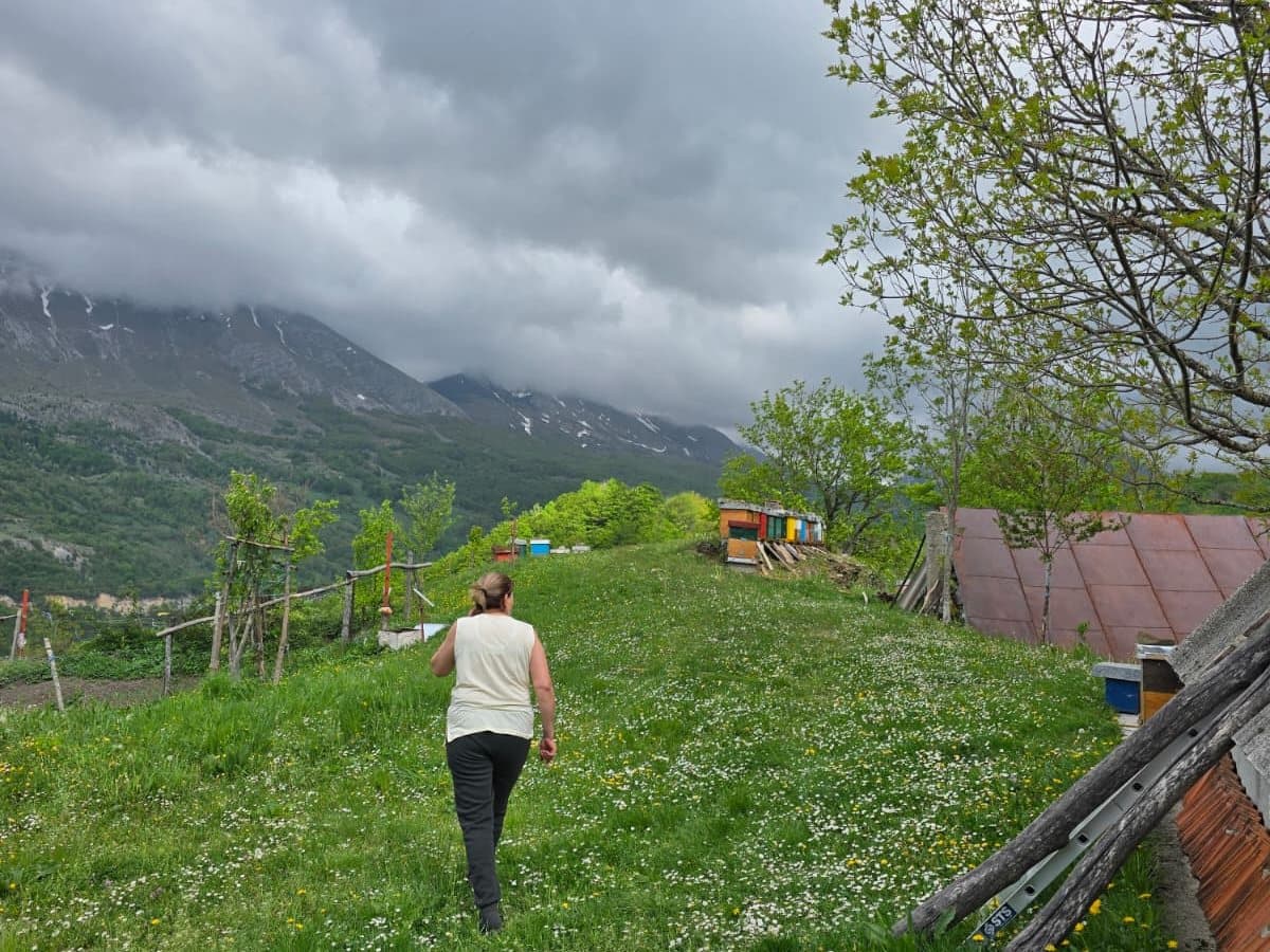 Fotografija sa pčelinjaka, Izgori 9