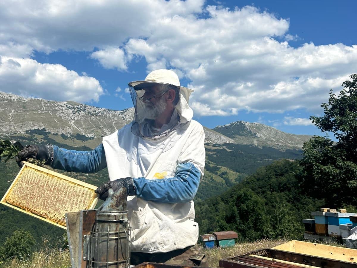Photo from the apiary, Izgori 93