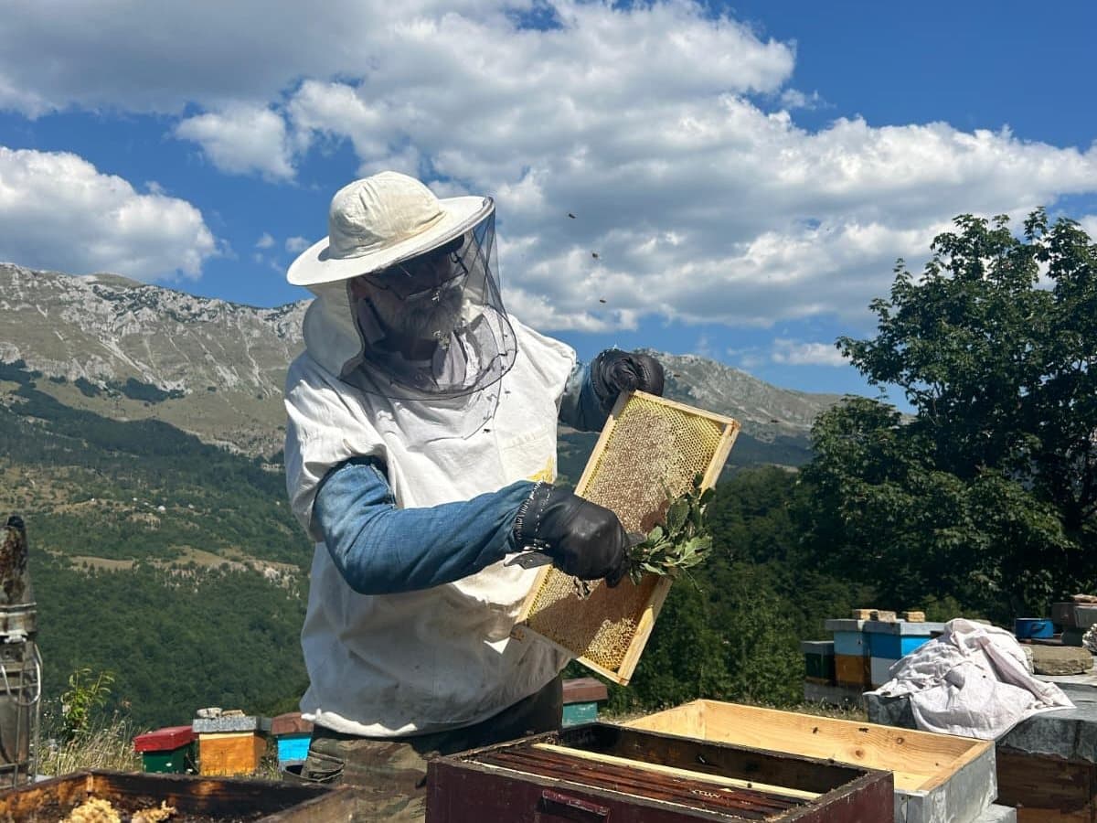 Photo from the apiary, Izgori 95