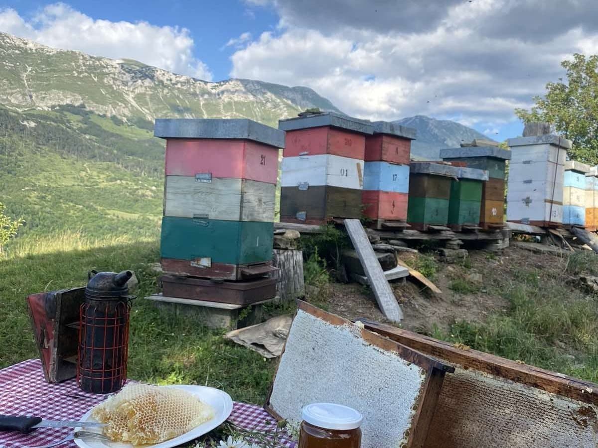 Fotografija sa pčelinjaka, Izgori 96