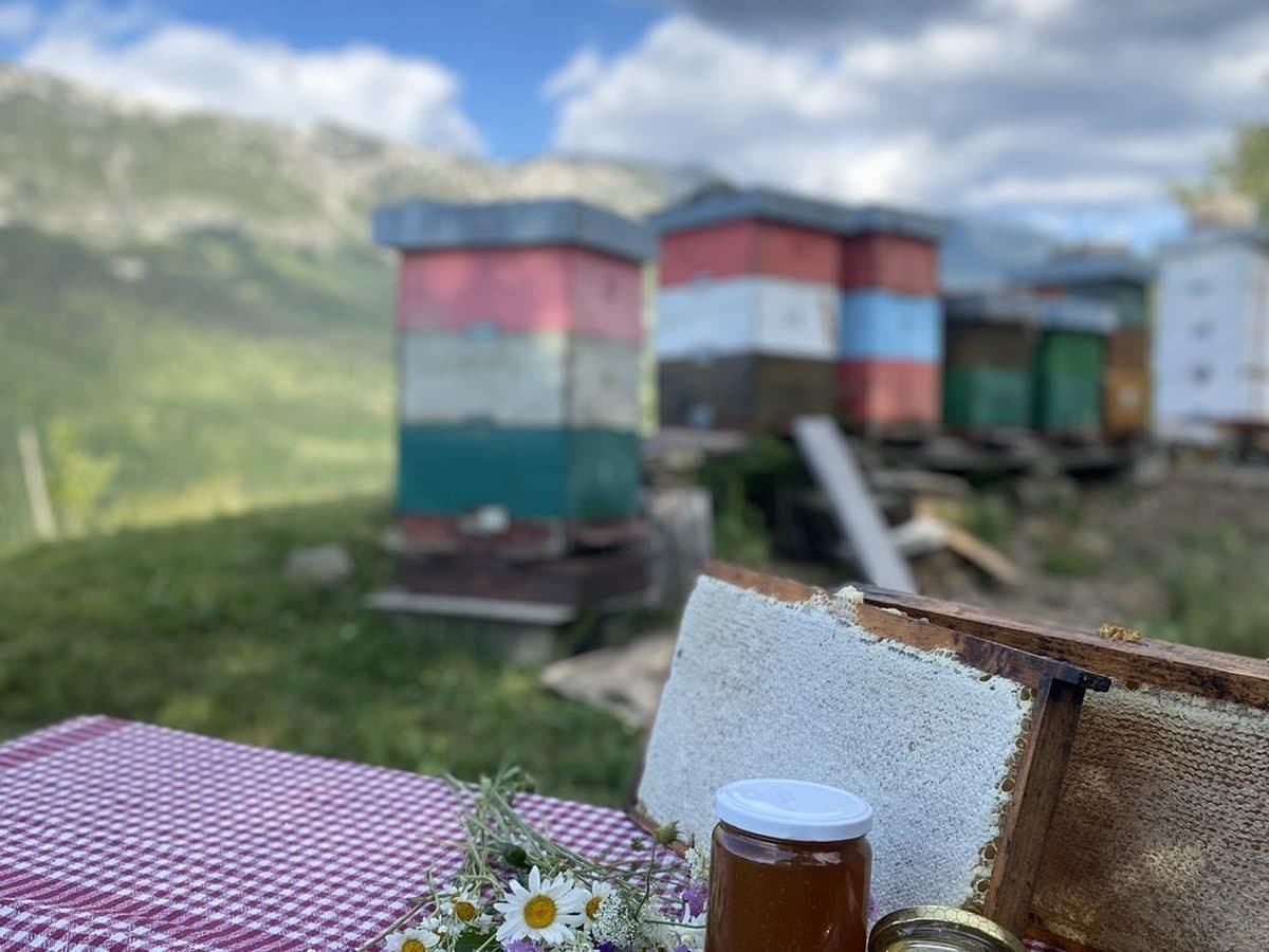 Fotografija sa pčelinjaka, Izgori 97