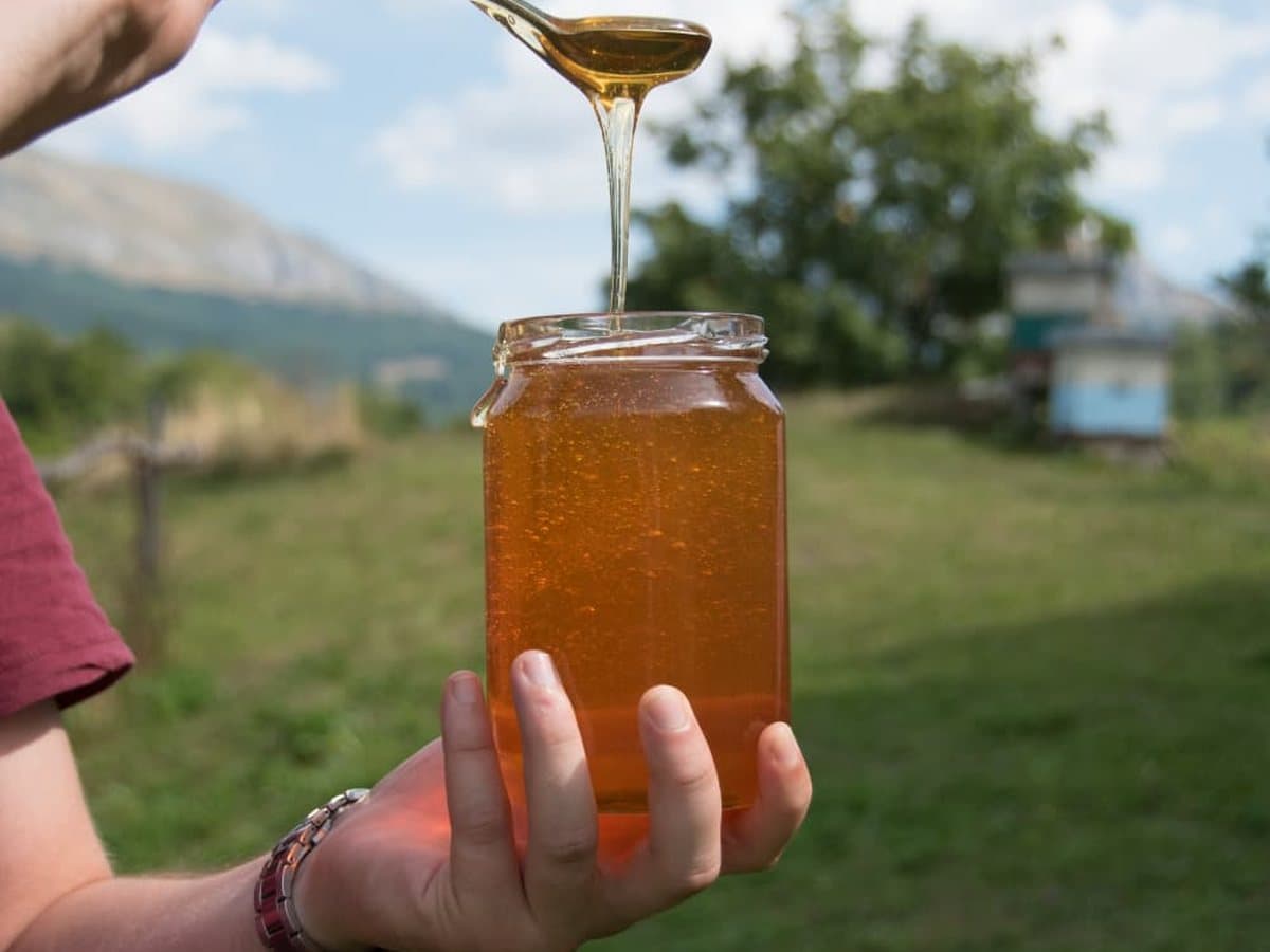 Photo from the apiary, Izgori 98