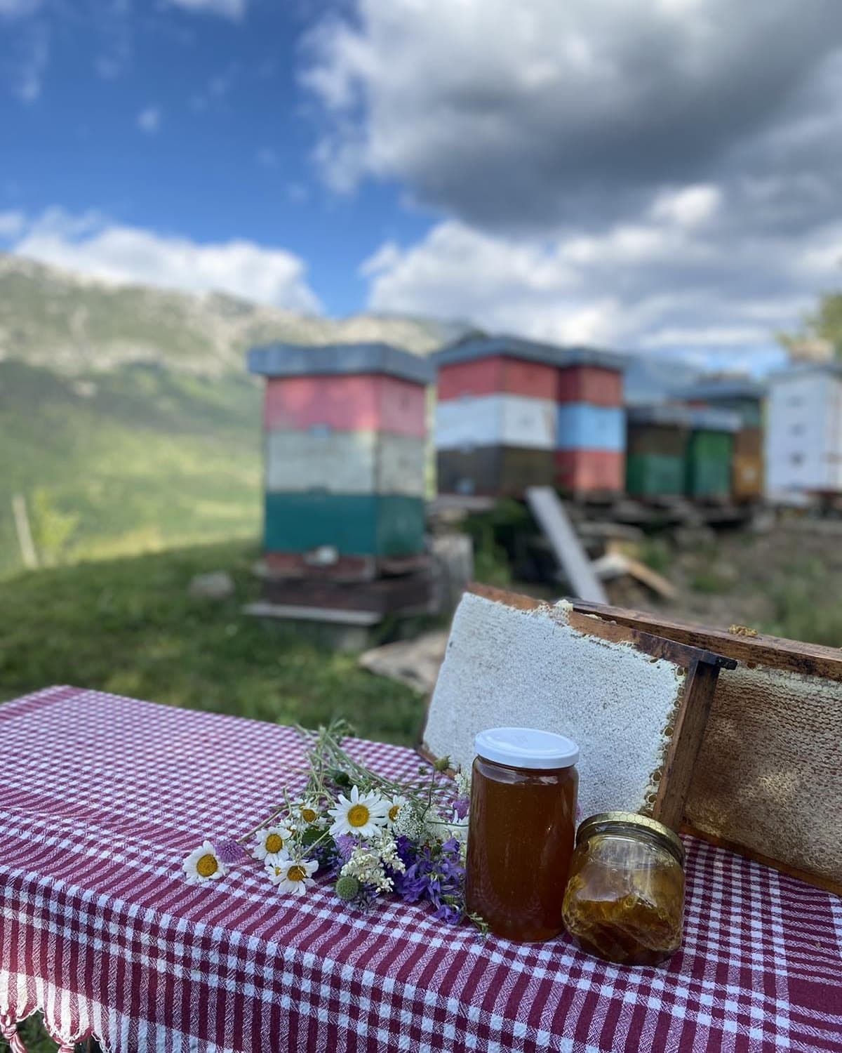 Tegle meda na pčelinjaku
