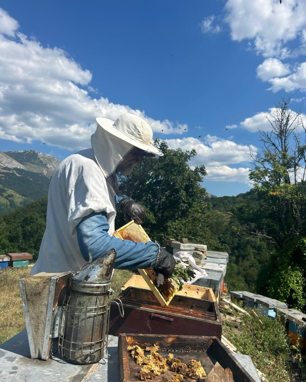 Otac vadi ram iz košnice