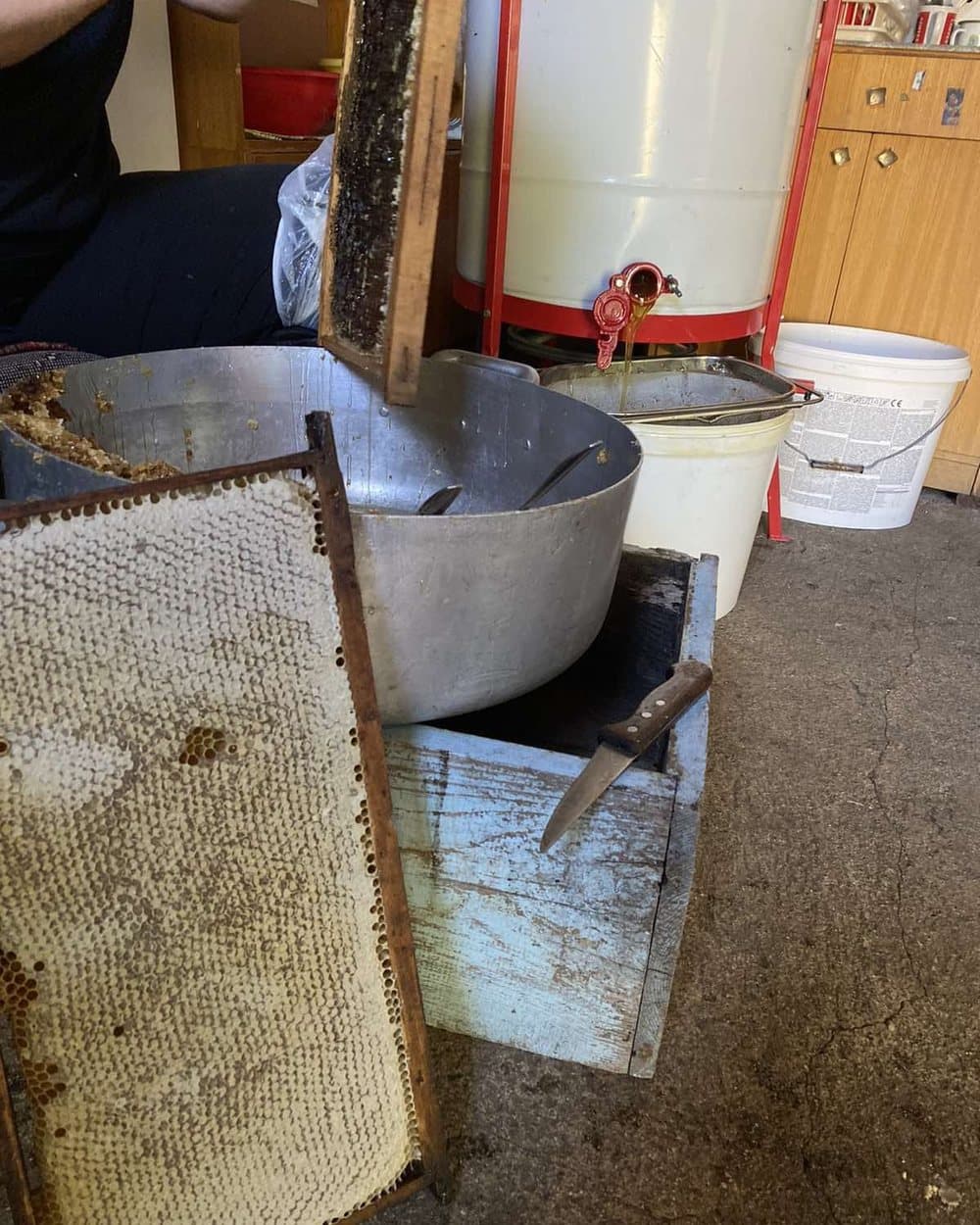 Family apiary 8